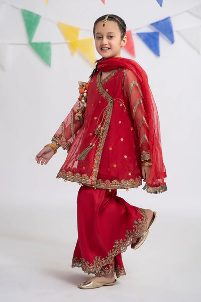 3 Piece Embroidered Organza Suit | MKS-EF24-24