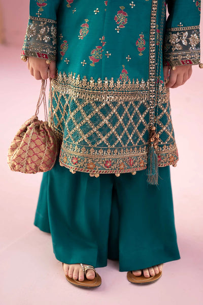 3 Piece Embroidered Raw Silk Suit | MKS-EF24-43