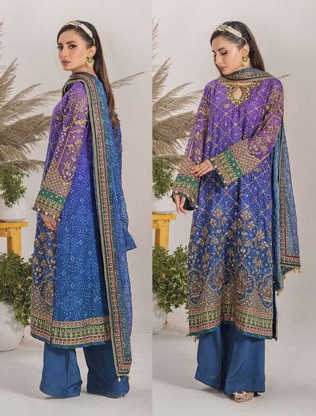 Embroidered Chiffon Design - 14