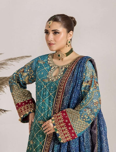 Embroidered Chiffon Design - 12