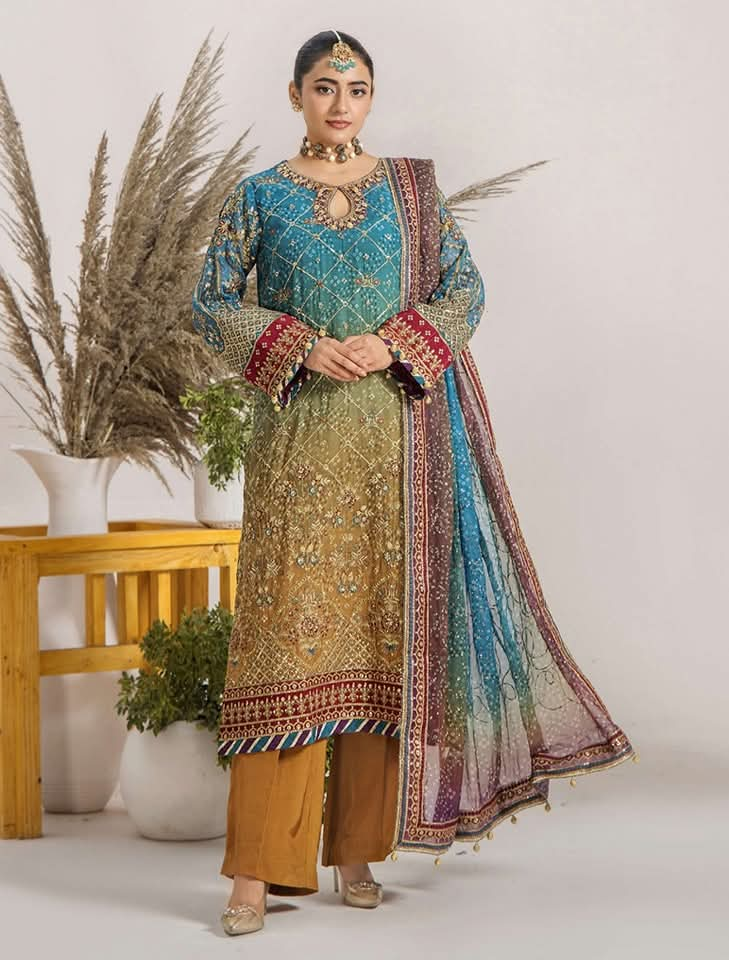 Embroidered Chiffon Design - 16