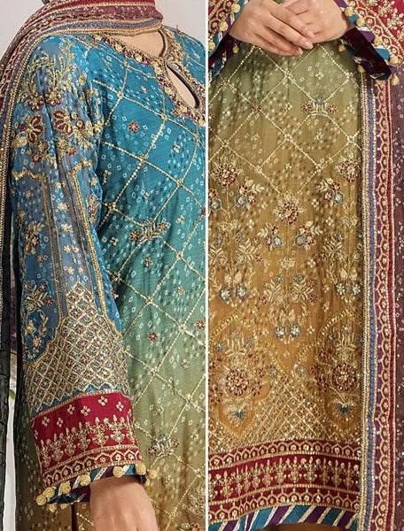 Embroidered Chiffon Design - 16