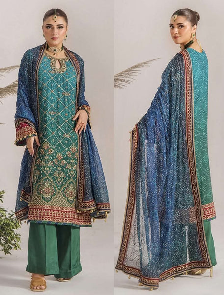 Embroidered Chiffon Design - 12