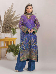 Embroidered Chiffon Design - 14