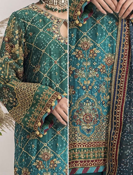 Embroidered Chiffon Design - 15