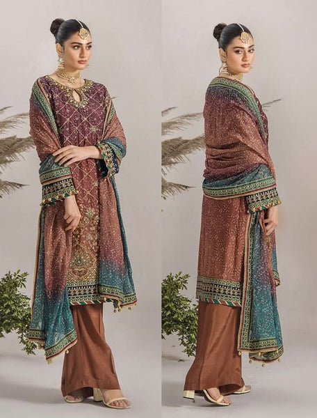 Embroidered Chiffon Design - 13